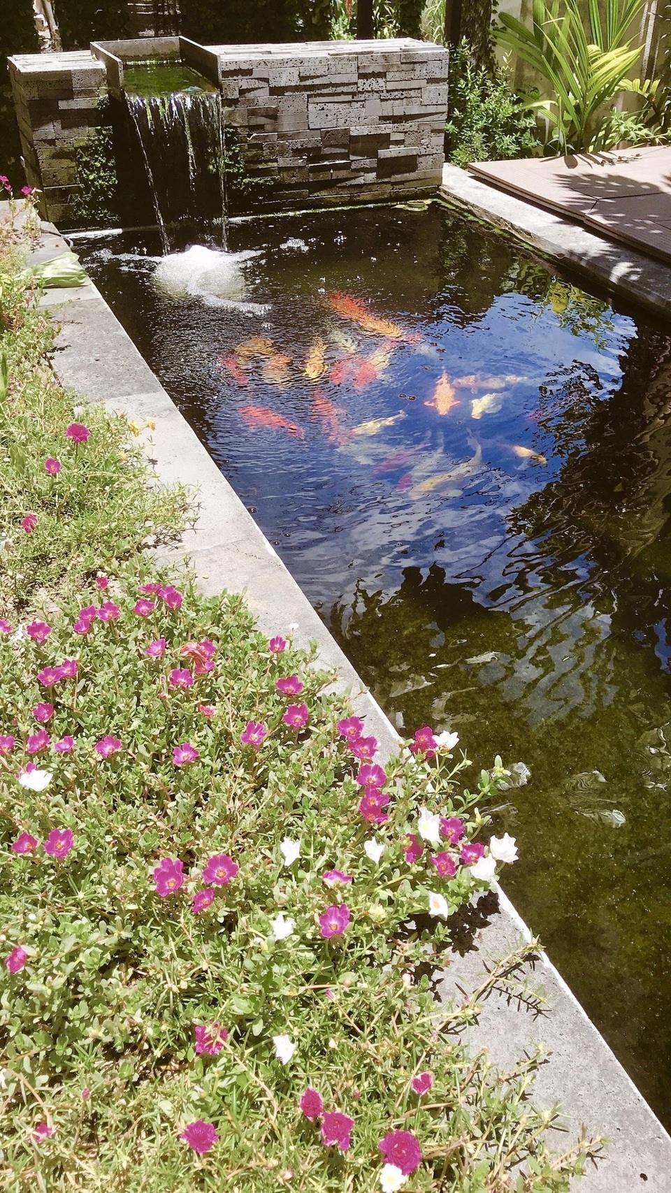 Chàng trai tự tay thiết kế nhà vườn vạn người mê cho gia đình 4 thế hệ - 10