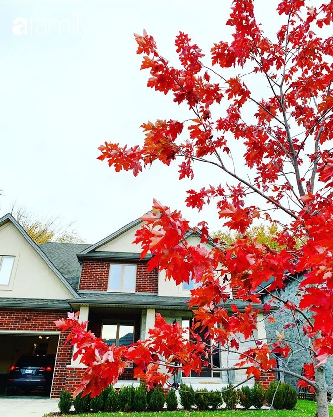 Mẹ Việt ở Canada khoe ngôi nhà đẹp như trong phim, thích nhất là căn bếp vừa đứng nấu cơm vừa ngắm trời mây cây cối - Ảnh 3.
