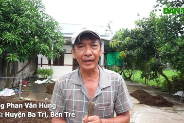 Nông dân sống khỏe nhờ nuôi bò và bán phân bò