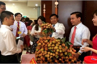 Chưa vào chính vụ, thông tin thất thiệt khiến “thủ phủ” vải thiều phẫn nộ!