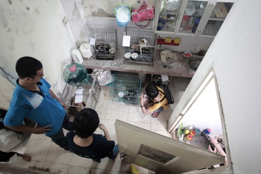 Hà Nội: “Biệt đội" giải cứu chó mèo 