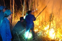 Hơn 600 người trắng đêm dập lửa, rừng ở Cà Mau vẫn đang cháy