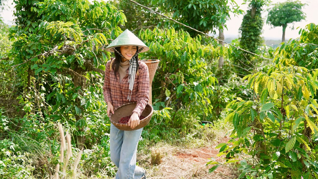 Dàn hoa hậu Việt thời chưa nổi tiếng: Bán hàng online, đi làm giúp việc - 1 Dàn hoa hậu Việt thời chưa nổi tiếng: Bán hàng online, đi làm giúp việc - 1