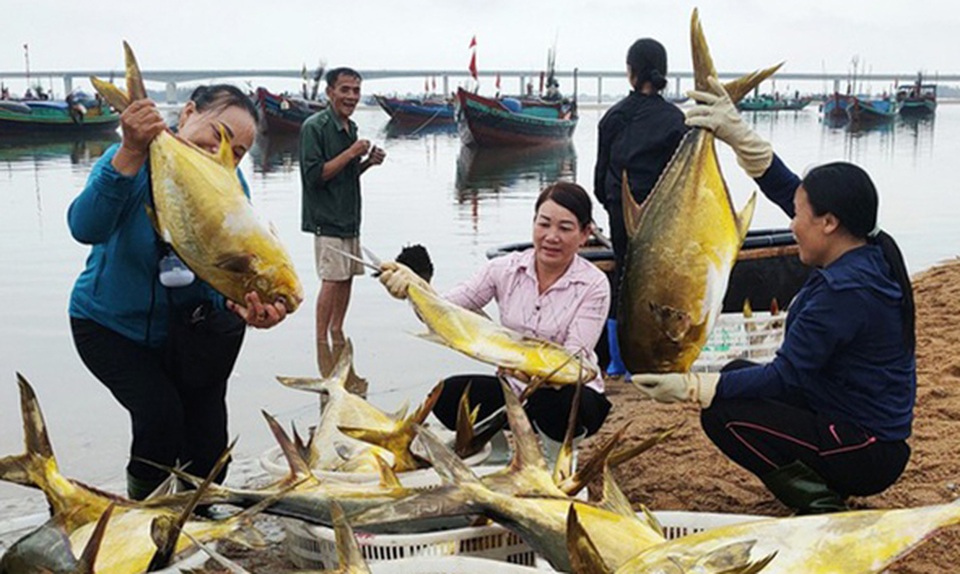 Ngư dân kể về chuyến ra khơi mang lại hơn 100 chỉ vàng - 1 Ngư dân kể về chuyến ra khơi mang lại hơn 100 chỉ vàng - 1