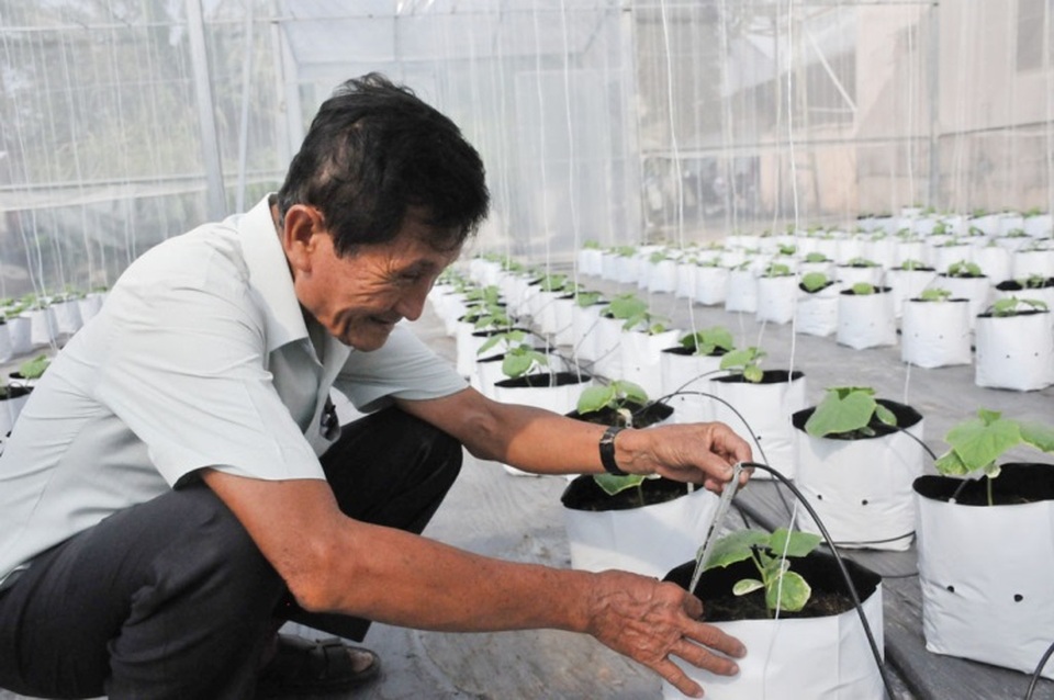 An Giang: Gặp những người đi lên thành công nhờ nông thôn mới - 1 An Giang: Gặp những người đi lên thành công nhờ nông thôn mới - 1