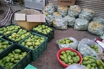 Ngày bán 1 tấn xoài Campuchia, đều tay lãi 5 triệu