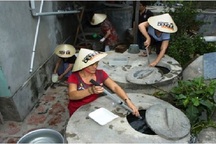 Muỗi vằn nuôi ở Nha Trang áp chế được Zika?