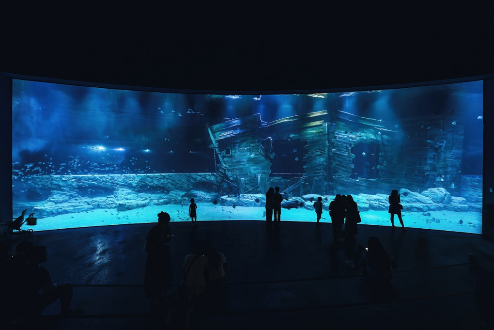 Gần 40.000 khách thăm Thủy cung Lotte World Hà Nội dịp lễ 2/9 - 2 Gần 40.000 khách thăm Thủy cung Lotte World Hà Nội dịp lễ 2/9 - 2
