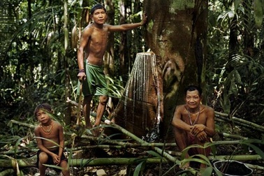 Kỳ lạ bộ tộc chỉ ngủ 20 phút mỗi ngày, không thể đếm từ 1 đến 10