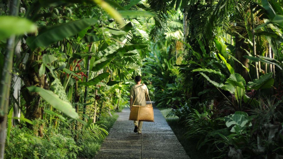 Thiên Đường Nghỉ Dưỡng Bali Giữa Lòng Ecopark - 1 Thiên Đường Nghỉ Dưỡng Bali Giữa Lòng Ecopark - 1