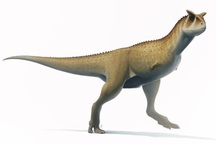 Kỳ lạ loài khủng long "cụt tay", dùng chính cái đầu làm vũ khí tấn công