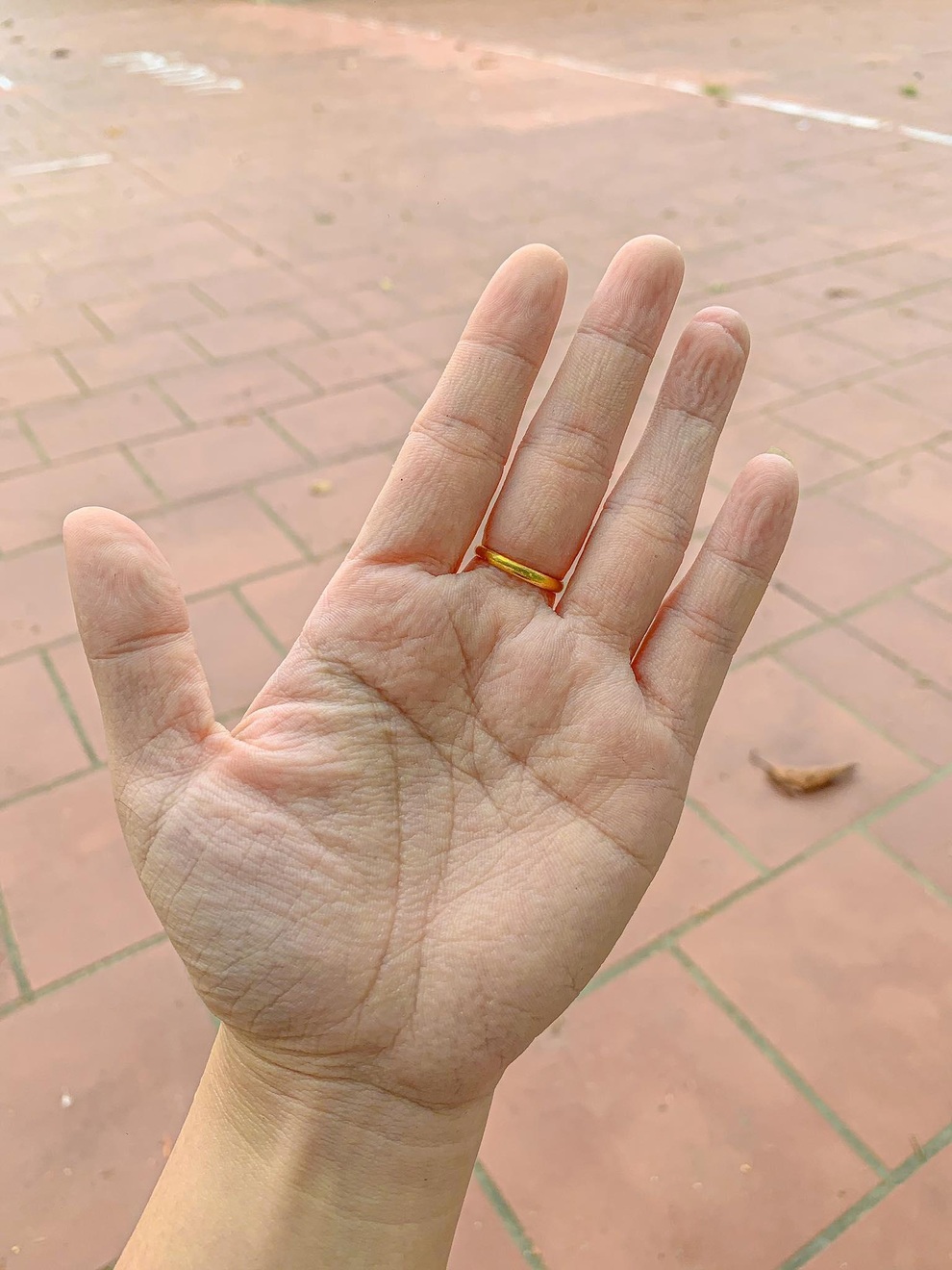 Hoa vẫn nở trên tuyến đầu chống dịch - 9 Hoa vẫn nở trên tuyến đầu chống dịch - 9