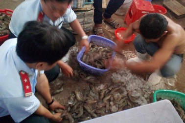 Bơm tạp chất vào tôm nguyên liệu bị phạt hơn 185 triệu đồng