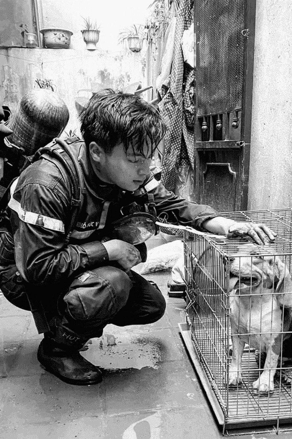 Cộng đồng mạng làm thơ, vẽ tranh đưa tiễn ba chiến sĩ cứu hỏa đã hy sinh - 2 Cộng đồng mạng làm thơ, vẽ tranh đưa tiễn ba chiến sĩ cứu hỏa đã hy sinh - 2