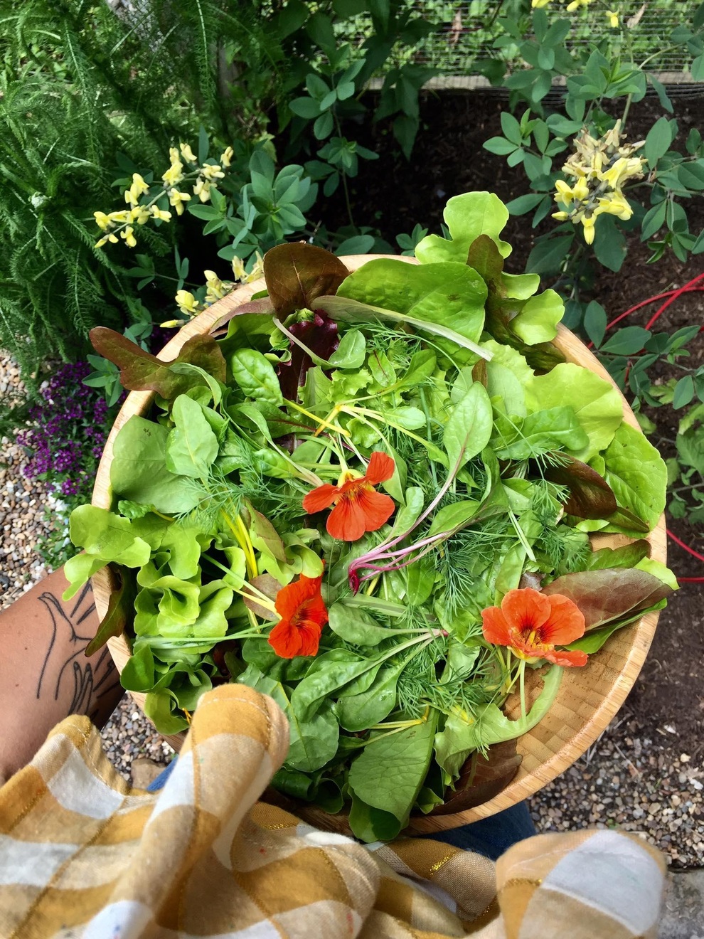 Vườn rau sạch đủ loại hái không xuể, mẹ đảm chia cho cả hàng xóm - 8