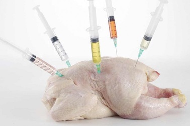 Mối lo "đại dịch” kháng kháng sinh: Đồ ăn nhanh có "vai trò” ra sao?