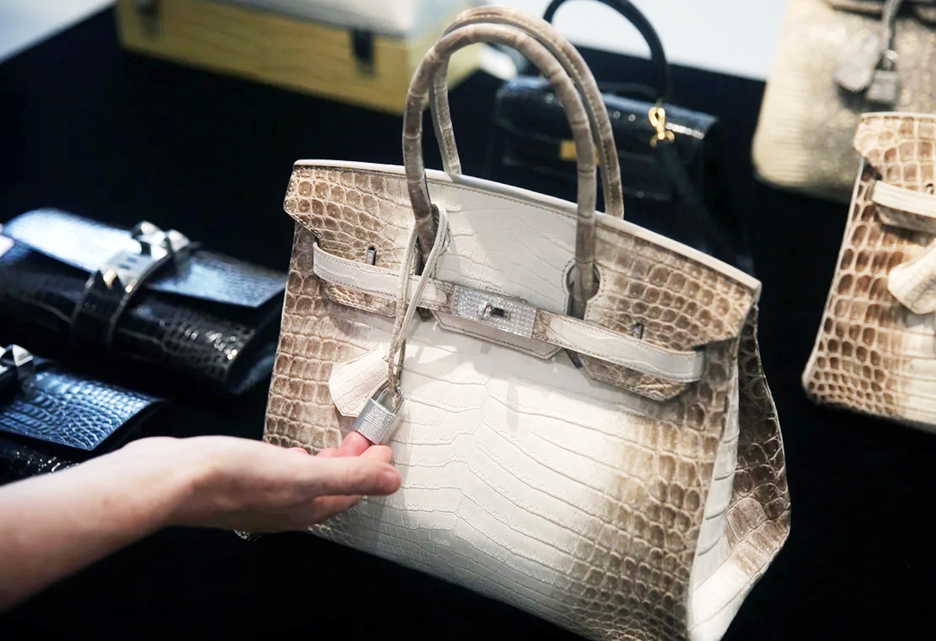 Túi Hermès da cá sấu giá tiền tỷ khiến giới siêu giàu săn lùng - 6 Túi Hermès da cá sấu giá tiền tỷ khiến giới siêu giàu săn lùng - 6