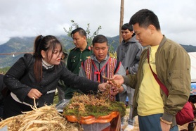 Hàng trăm hộ dân làm giàu, tậu ô tô nhờ cây "quốc bảo"