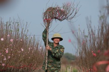 Hà Nội nắng ấm trước khi đón không khí lạnh mạnh vào cuối tuần