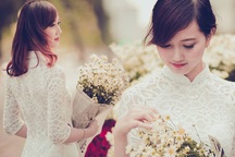 Say lòng trước hình ảnh thiếu nữ bên cúc họa mi