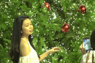 Người dân TPHCM chen chân check-in vườn thông Noel