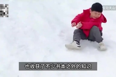 Tạm hoãn chuyện đi học, cặp đôi bán nhà cửa xe cộ đưa con trai đi du lịch