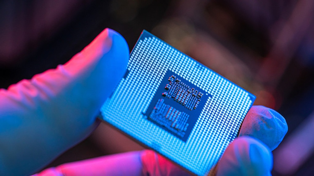 chip.jpg