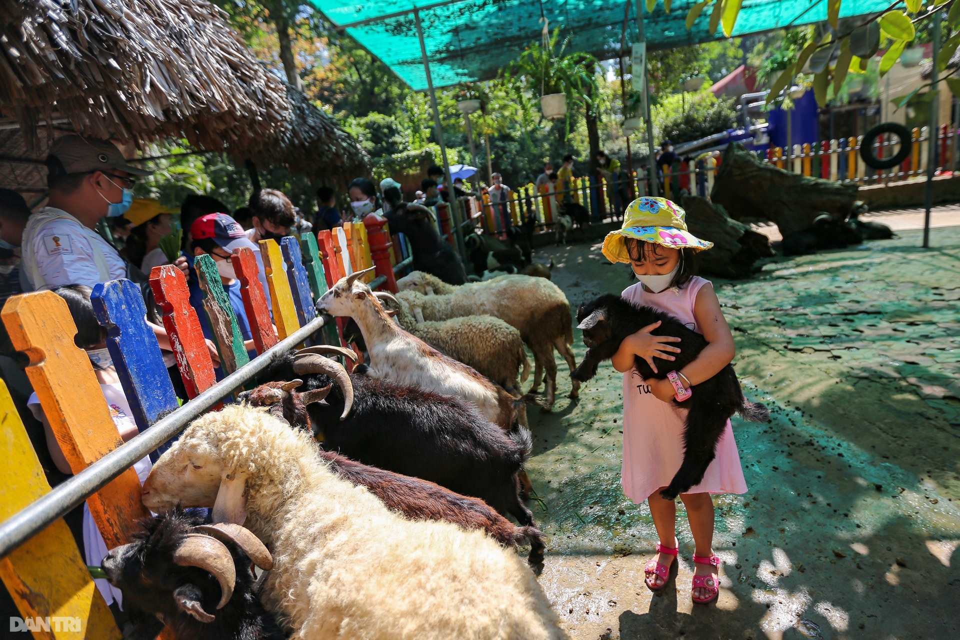 Hàng chục nghìn du khách tham quan, cắm trại ở Thảo cầm viên Sài Gòn - 6