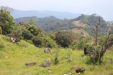 Vụ 100 ha rừng có nguy cơ bị “xẻ thịt”: Tỉnh yêu cầu báo cáo