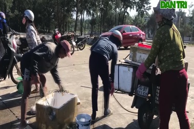 Ngư dân thu tiền triệu nhờ đánh bắt cá khoai