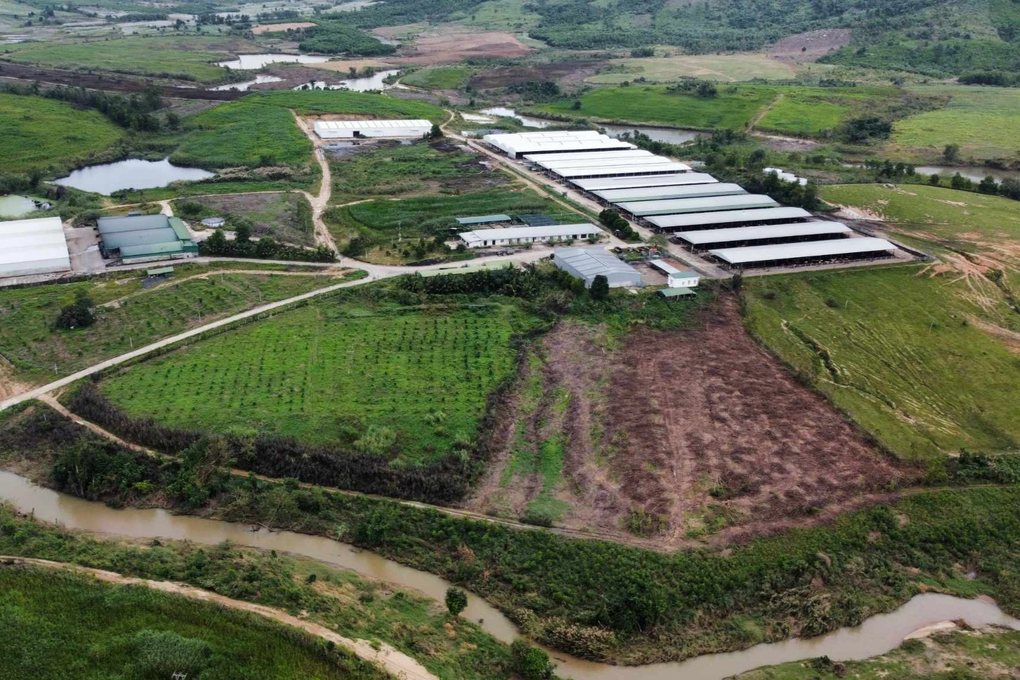 Đắk Lắk đang thu hồi 55 tỷ đồng tạm ứng sai cho dự án nuôi bò - 1 Đắk Lắk đang thu hồi 55 tỷ đồng tạm ứng sai cho dự án nuôi bò - 1