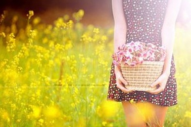 Mừng ngày Phụ nữ Việt Nam 20/10 trên màn hình Windows 