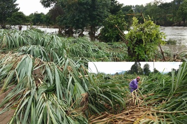 Sau bão lũ, núi sạt lở,  7 người tử vong, 22 tàu cá bị cuốn trôi...