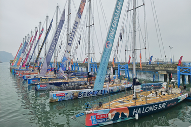 Quảng Ninh chào đón 11 đội đua thuyền vượt đại dương đến Hạ Long
