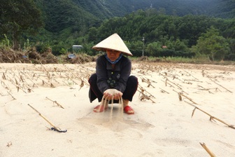 Đồng ruộng ở Đà Nẵng bị cát vùi lấp hàng mét sau mưa lũ