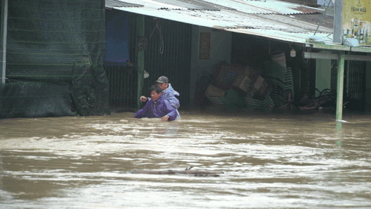 Người dân vùng lũ Phú Yên chèo thuyền trên đường, bỏ nhà đi tránh lũ