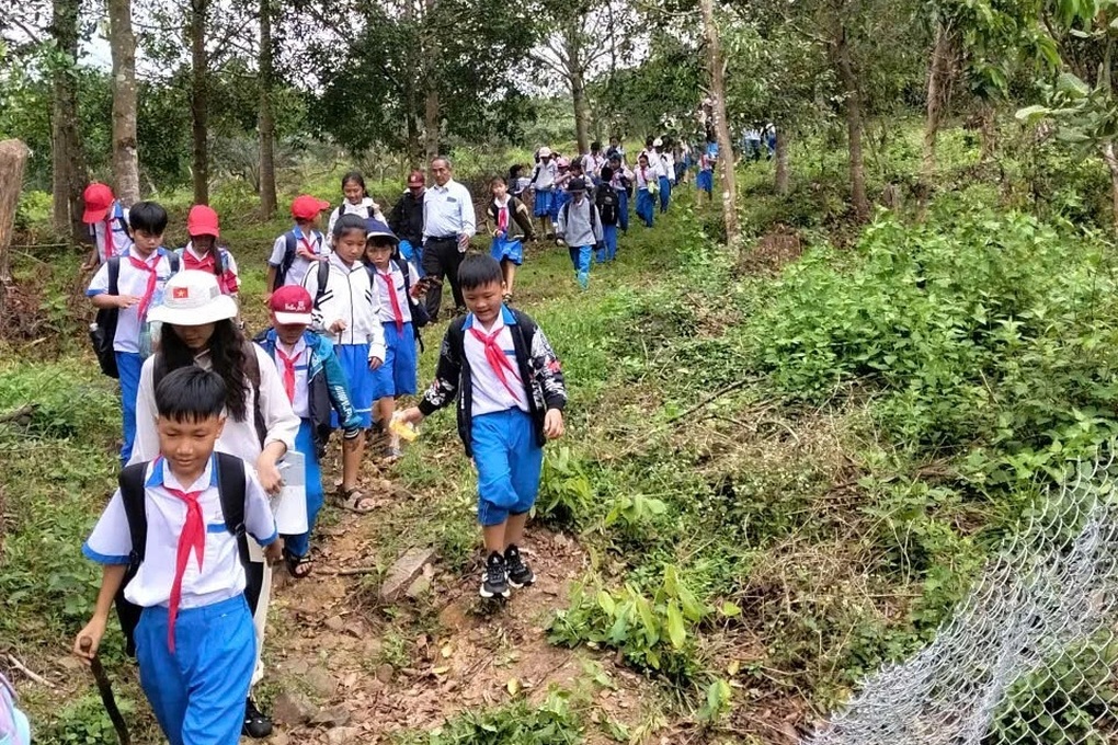 Lão nông ước trẻ lại 15 tuổi để khôi phục đồi cây gắn liền với tuổi thơ - 2