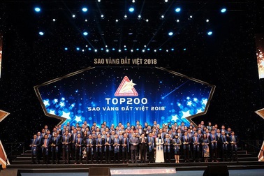 FSI đơn vị chuyển đổi số hàng đầu được vinh danh trong lễ trao giải Sao Vàng Đất Việt 2018