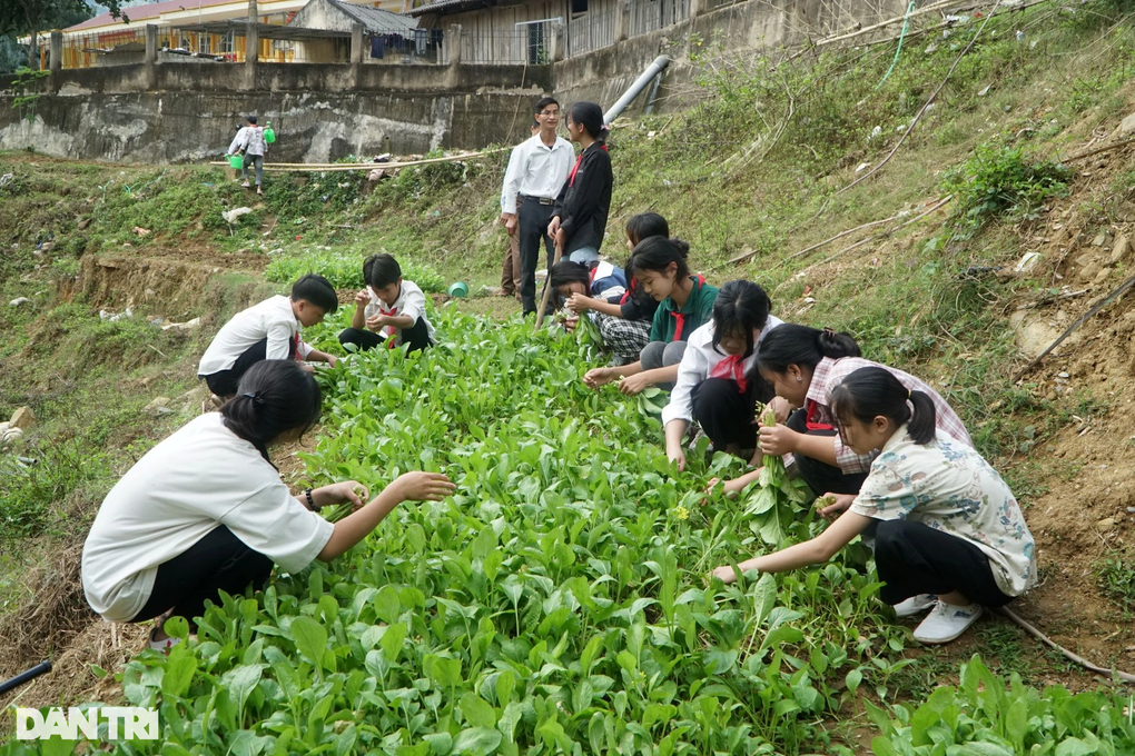 Độc đáo mô hình học sinh vùng biên trồng rau, nhà trường trả tiền - 1 Độc đáo mô hình học sinh vùng biên trồng rau, nhà trường trả tiền - 1
