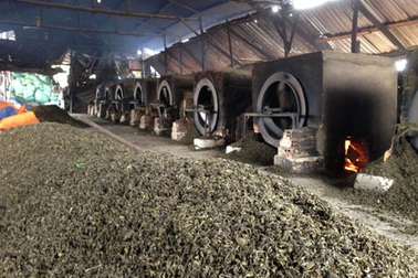 Đóng cửa cơ sở tái chế “trà ướp xác”