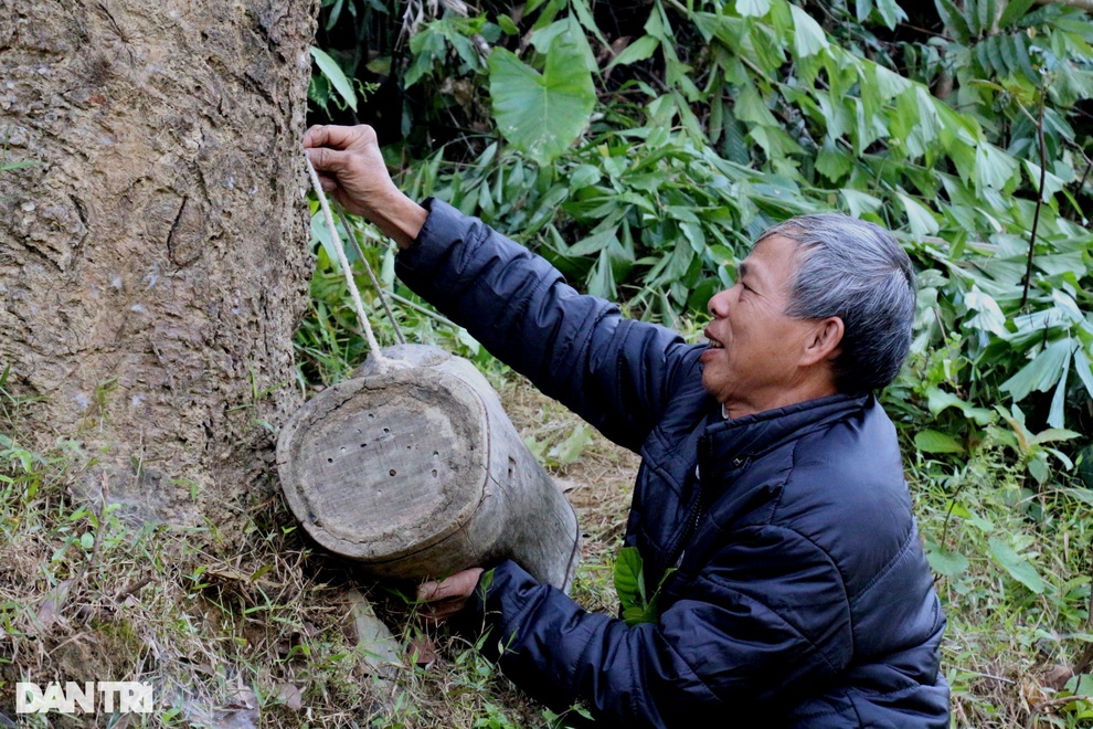 Thợ săn ong sứ nghe tiếng vỗ cánh, chờ tìm chiến binh - 5 Thợ săn ong sứ nghe tiếng vỗ cánh, chờ tìm chiến binh - 5
