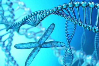 Cha mẹ cảnh giác khi con cao bất thường nhưng "chỗ ấy" lại nhỏ