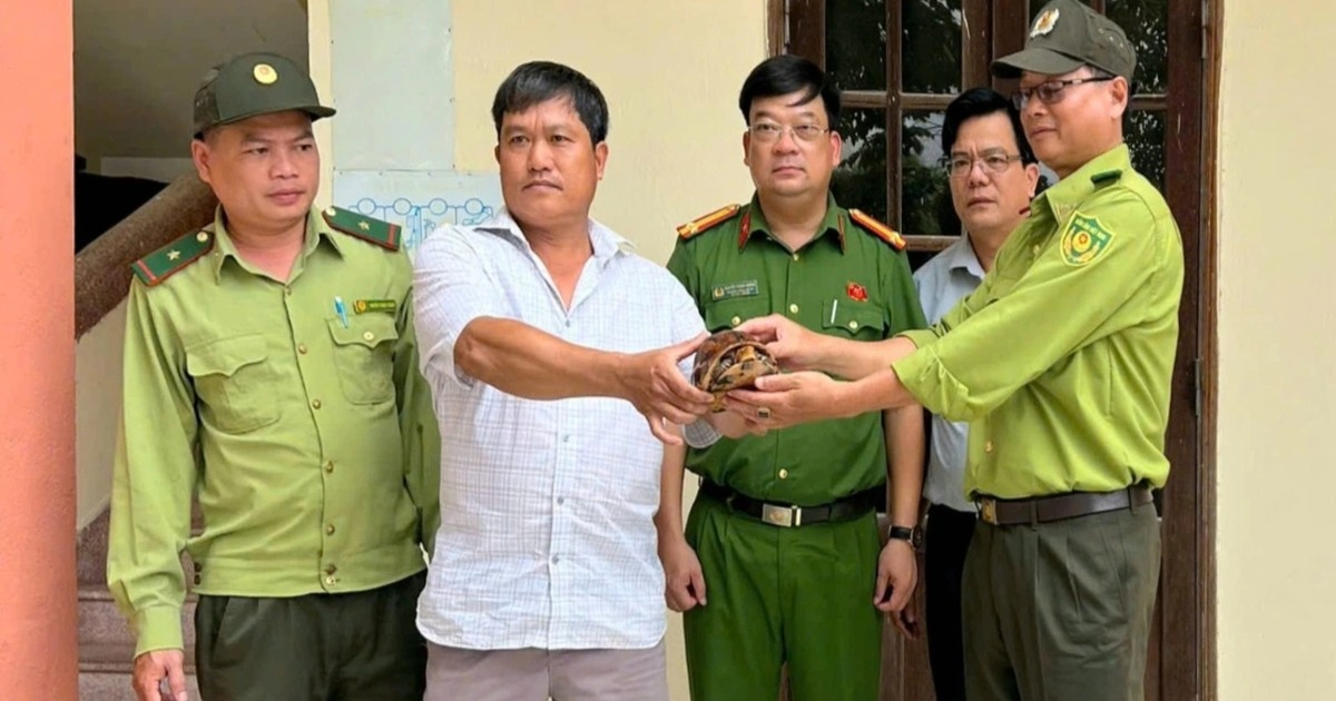 Bắt được rùa nghi quý hiếm, người dân giao nộp công an