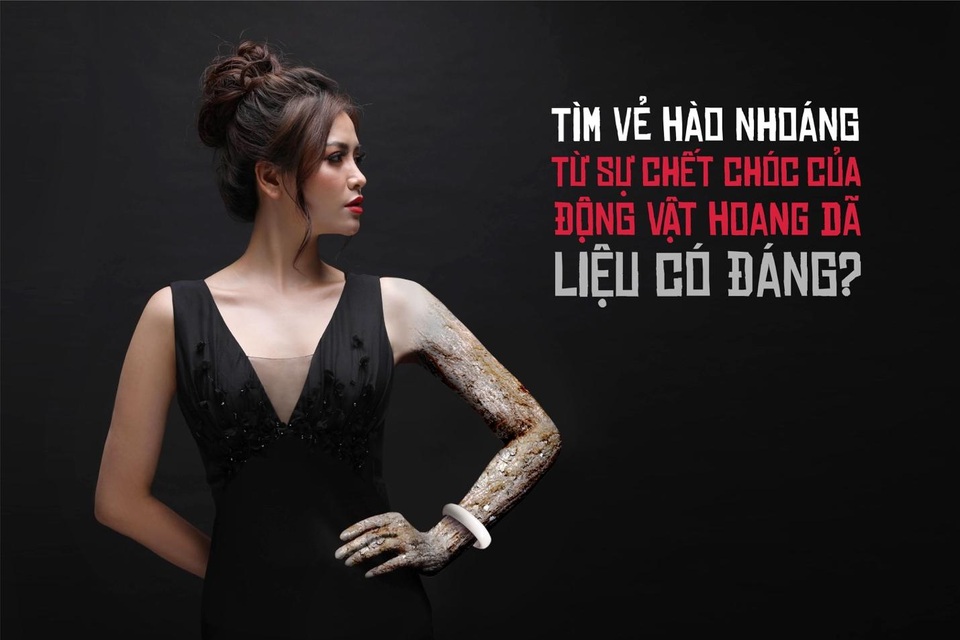 Sử dụng trang sức từ động vật hoang dã trái phép, đừng để thấy hậu quả mới biết từ chối - 1 Sử dụng trang sức từ động vật hoang dã trái phép, đừng để thấy hậu quả mới biết từ chối - 1