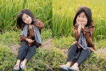 Bé gái xinh như thiên thần trên cánh đồng mùa lúa trổ bông