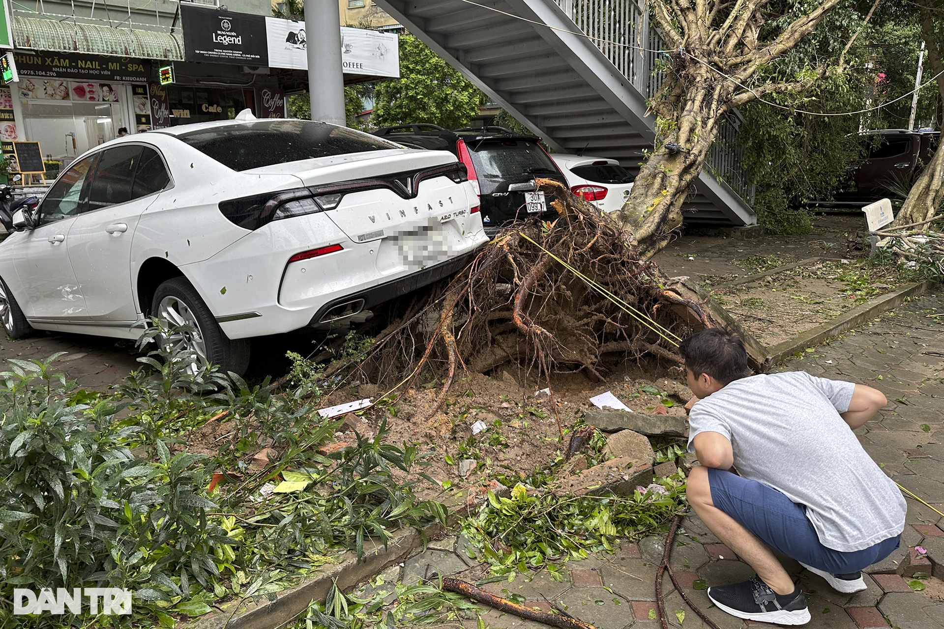 Cây đổ la liệt khắp đường phố Hà Nội - 19