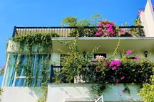 Mẹ đảm khéo tay “hô biến” ban công thành vườn hoa giấy tuyệt đẹp ở Hà Nội