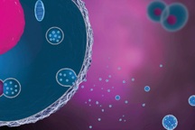 Tế bào gốc mở ra nhiều triển vọng trong y học hiện đại