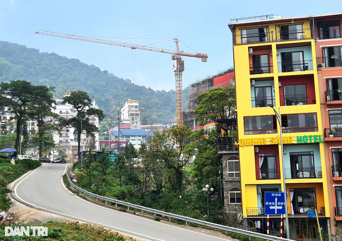 Cận cảnh rừng bê tông ở khu du lịch Tam Đảo - 13