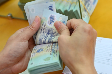 Bất ngờ về quy mô Tập đoàn Sovico